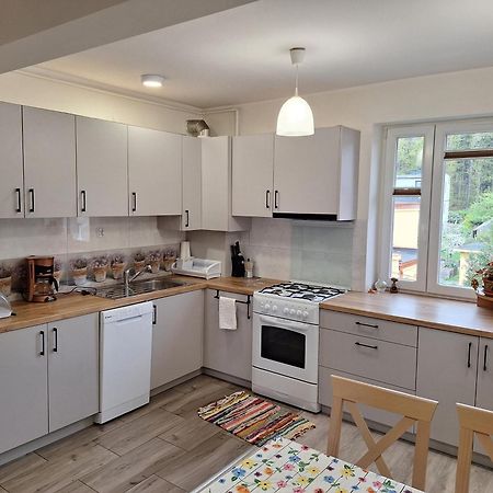 Apartament Pod Chelmcem Валбжих Екстер'єр фото